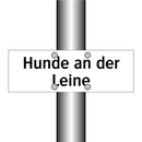 Hunde an der Leine