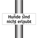 Hunde sind nicht erlaubt