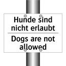 Hunde sind nicht erlaubt - Dogs are not allowed