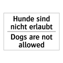 Hunde sind nicht erlaubt - Dogs are not allowed