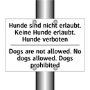 Hunde sind nicht erlaubt. Keine /.../ - Dogs are not allowed. No dogs /.../