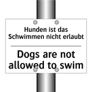 Hunden ist das Schwimmen nicht /.../ - Dogs are not allowed to swim