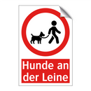 Hunde an der Leine