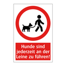 Hunde sind jederzeit an der Leine zu führen!