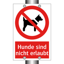 Hunde sind nicht erlaubt