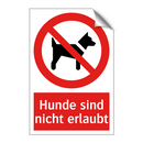 Hunde sind nicht erlaubt