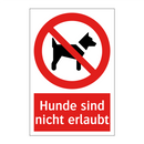 Hunde sind nicht erlaubt