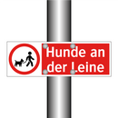 Hunde an der Leine
