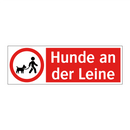 Hunde an der Leine