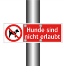 Hunde sind nicht erlaubt