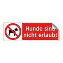 Hunde sind nicht erlaubt