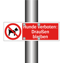 Hunde verboten: Draußen bleiben