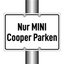 Nur MINI Cooper Parken