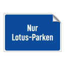 Nur Lotus-Parken