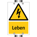 Leben