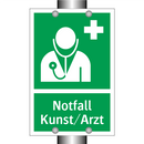 Notfall Kunst/Arzt