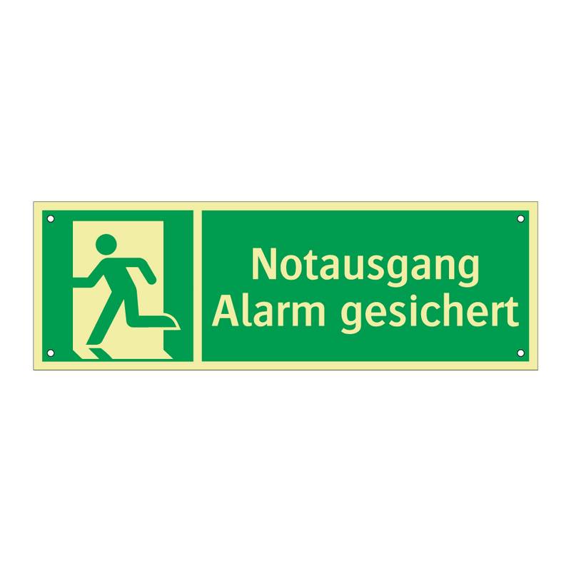Notausgang Alarm gesichert