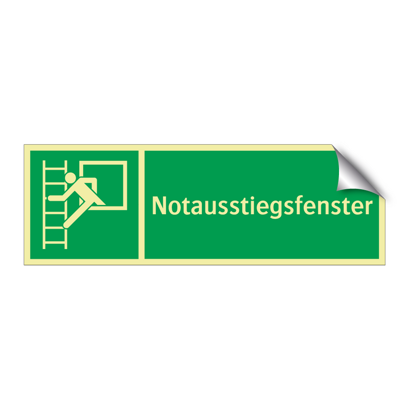Notausstiegsfenster