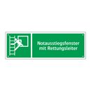 Notausstiegsfenster mit Rettungsleiter