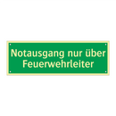 Notausgang nur über Feuerwehrleiter