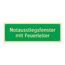 Notausstiegsfenster mit Feuerleiter