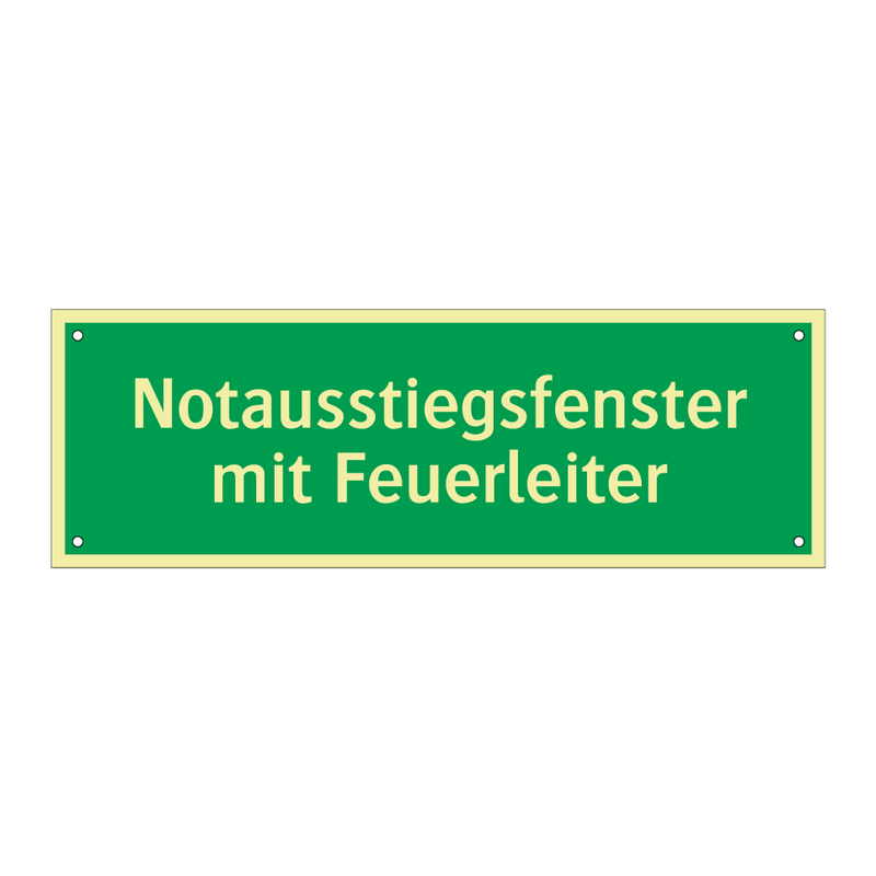Notausstiegsfenster mit Feuerleiter
