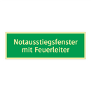 Notausstiegsfenster mit Feuerleiter