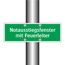 Notausstiegsfenster mit Feuerleiter