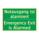 Notausgang ist alarmiert - Emergency Exit is Alarmed