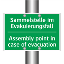 Sammelstelle im Evakuierungsfall /.../ - Assembly point in case of evacuation /.../
