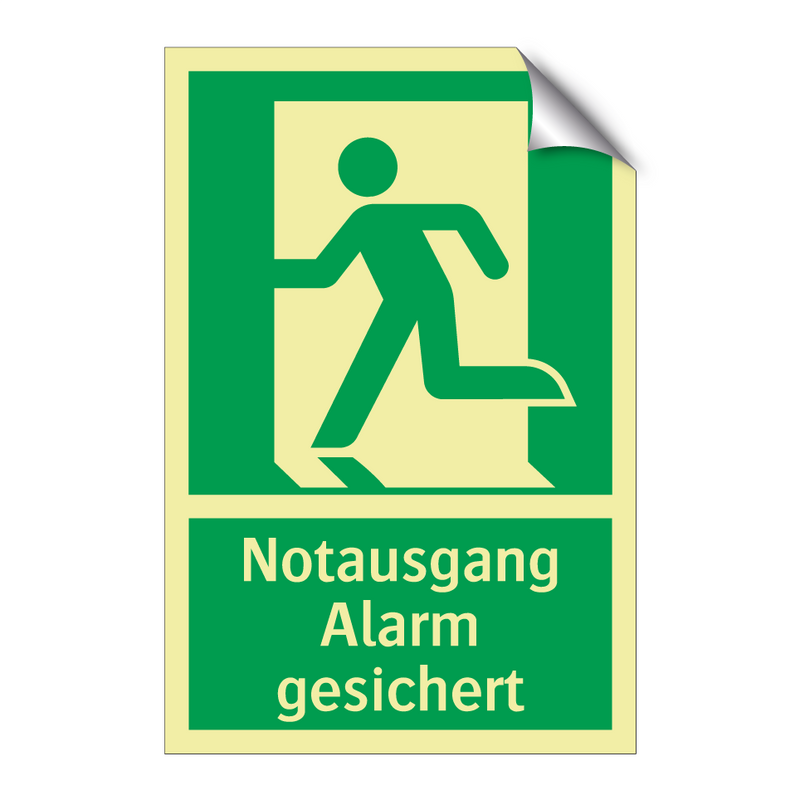 Notausgang Alarm gesichert