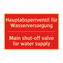 Hauptabsperrventil für Wasserversorgung/.../ - Main shut-off valve for water /.../