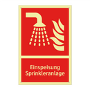 Einspeisung Sprinkleranlage