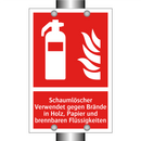 Schaumlöscher Verwendet gegen Brände in Holz, Papier und brennbaren Flüssigkeiten