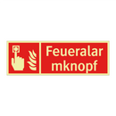 Feueralarmknopf