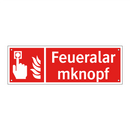 Feueralarmknopf