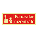 Feueralarmzentrale