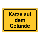 Katze auf dem Gelände
