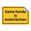 Keine Hunde in Innenräumen