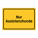 Nur Assistenzhunde