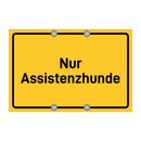 Nur Assistenzhunde