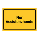 Nur Assistenzhunde