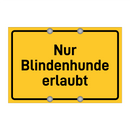 Nur Blindenhunde erlaubt