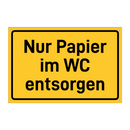 Nur Papier im WC entsorgen
