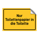 Nur Toilettenpapier in die Toilette