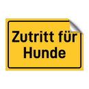 Zutritt für Hunde