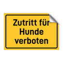 Zutritt für Hunde verboten
