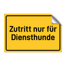Zutritt nur für Diensthunde