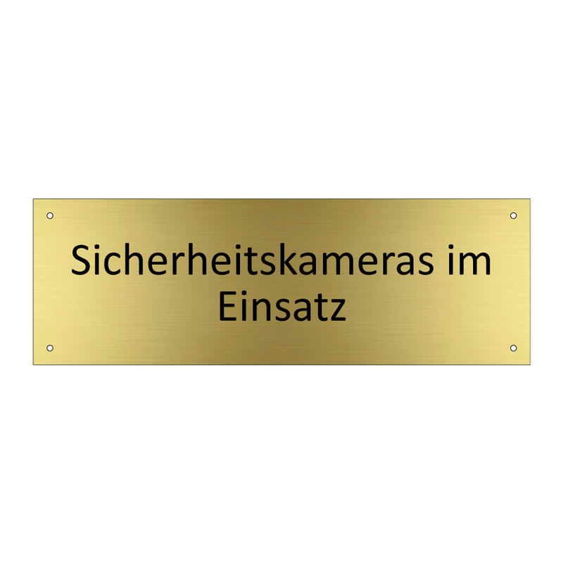 Sicherheitskameras im Einsatz