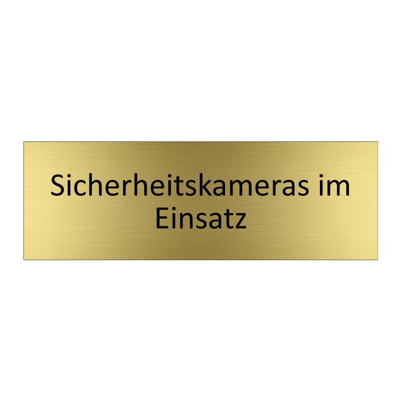 Sicherheitskameras im Einsatz